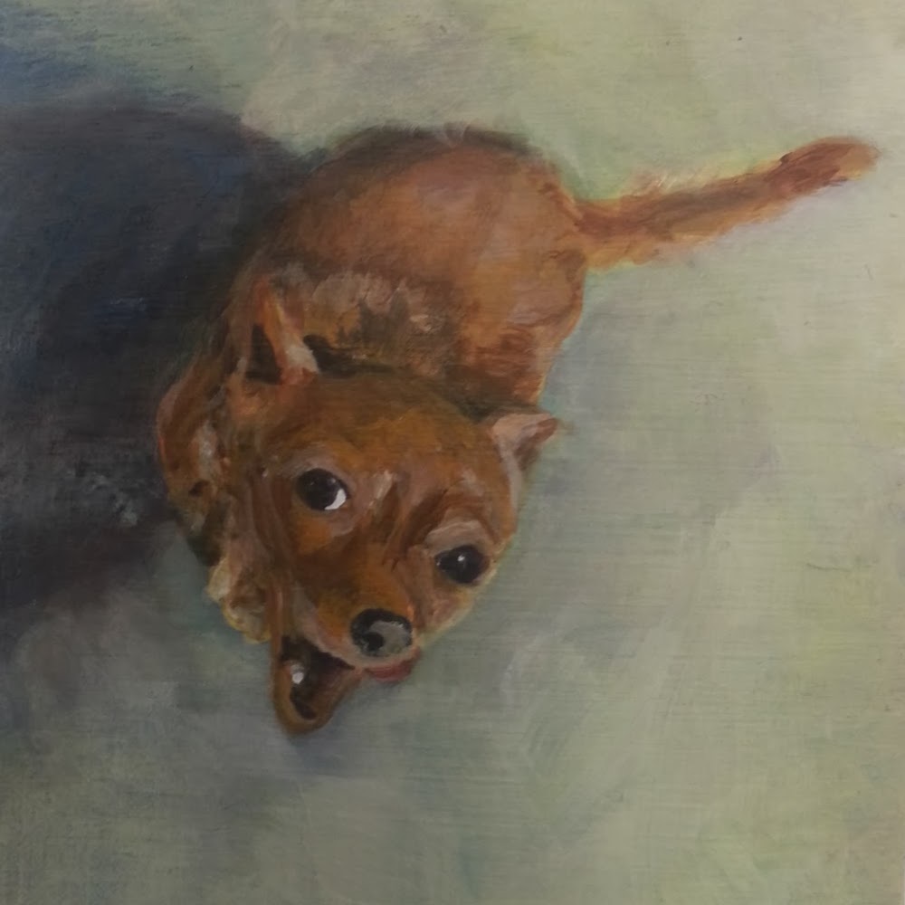 Meet your Posher, Annie